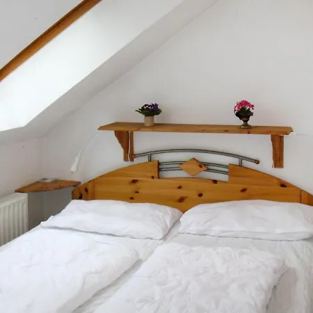 Mullerhaus-2 *